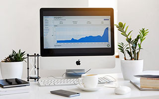 店铺里养鸟对风水有影响吗？深入探究与分析